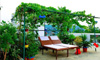 Rooftop Restaurant